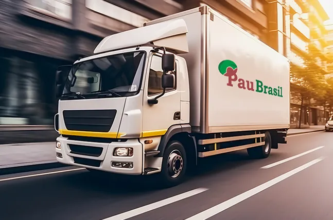 Entrega rápida e segura Pau Brasil